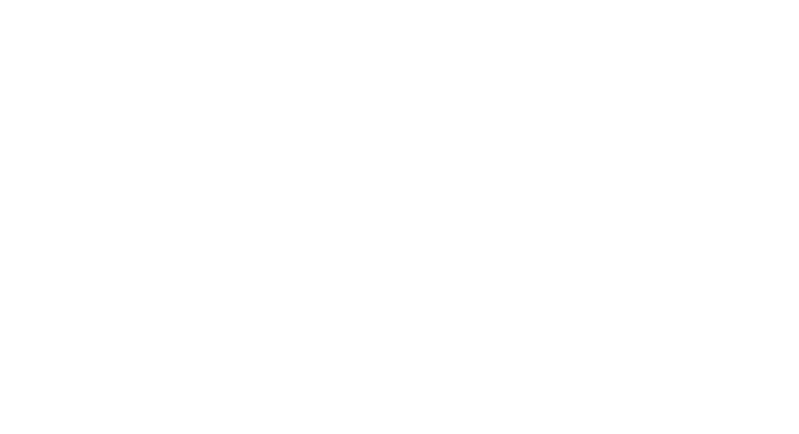The Fisio Program